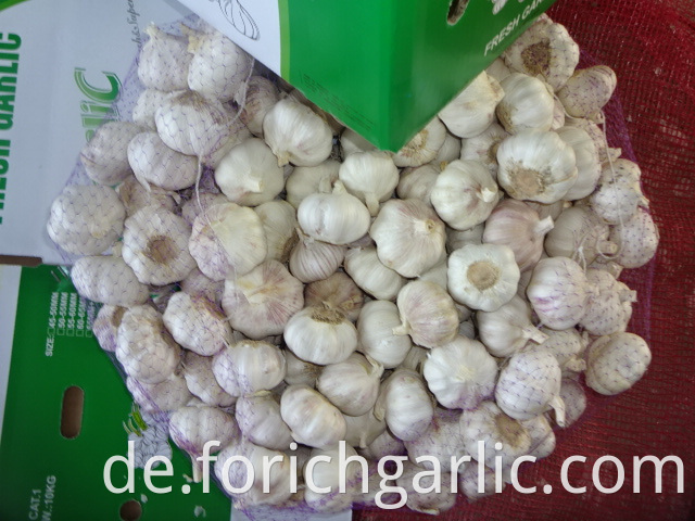 Jinxiang Fresh Normal White Garlic